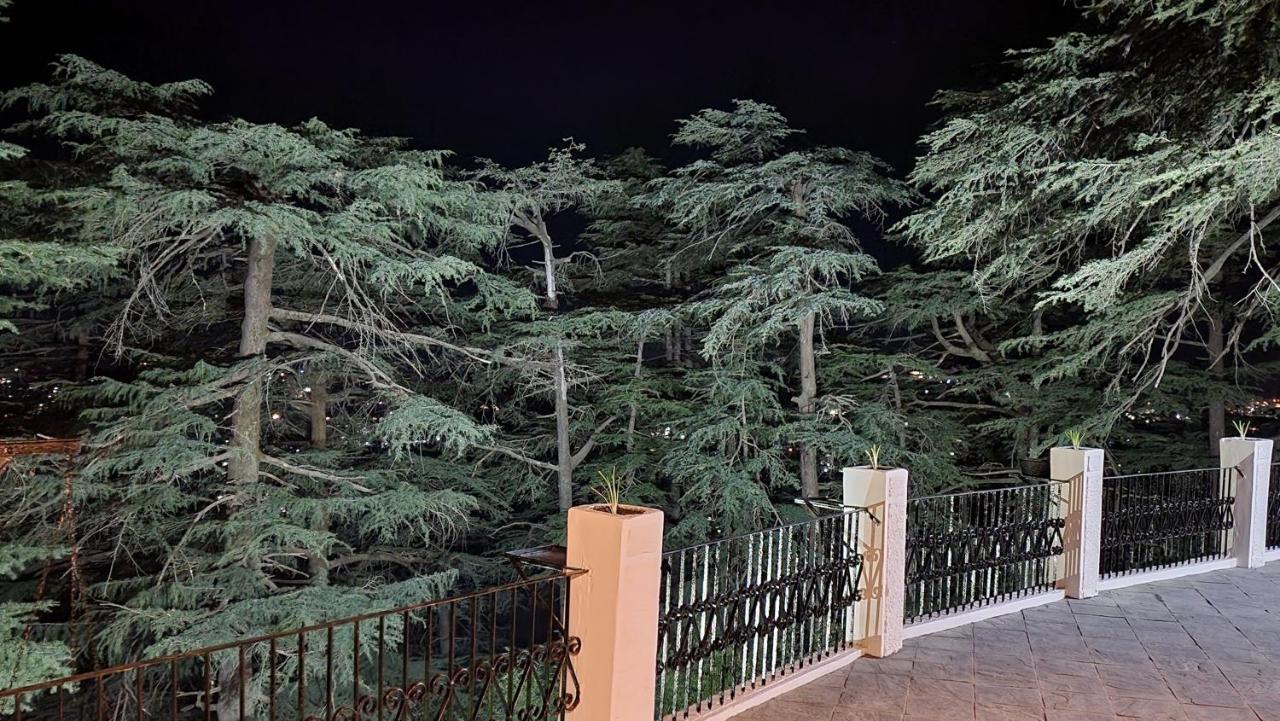 Glen View Heritage Homestay Shimla Exterior foto