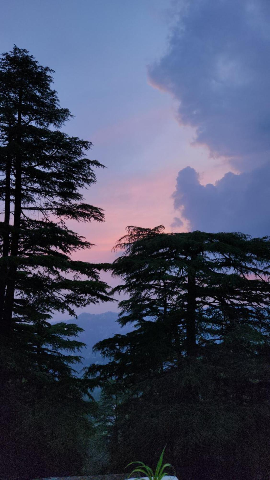Glen View Heritage Homestay Shimla Exterior foto
