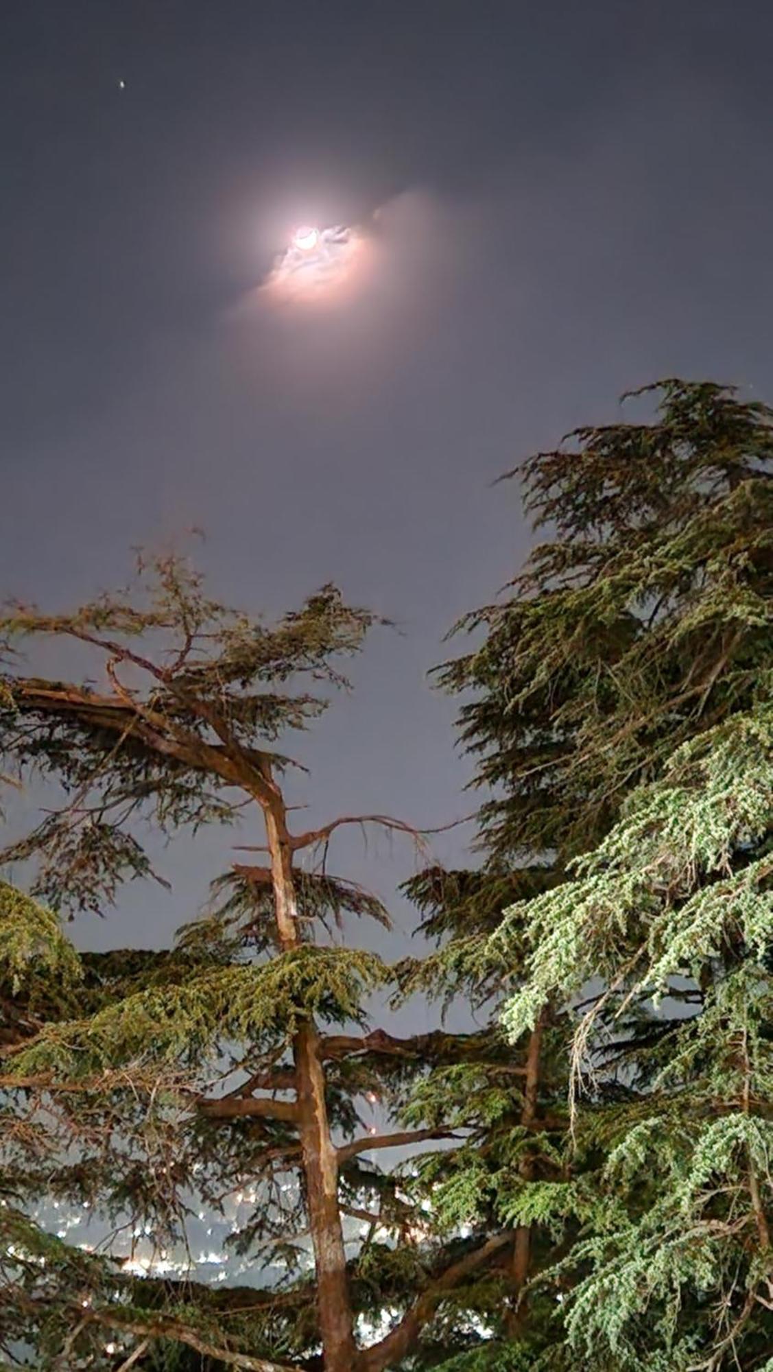 Glen View Heritage Homestay Shimla Exterior foto