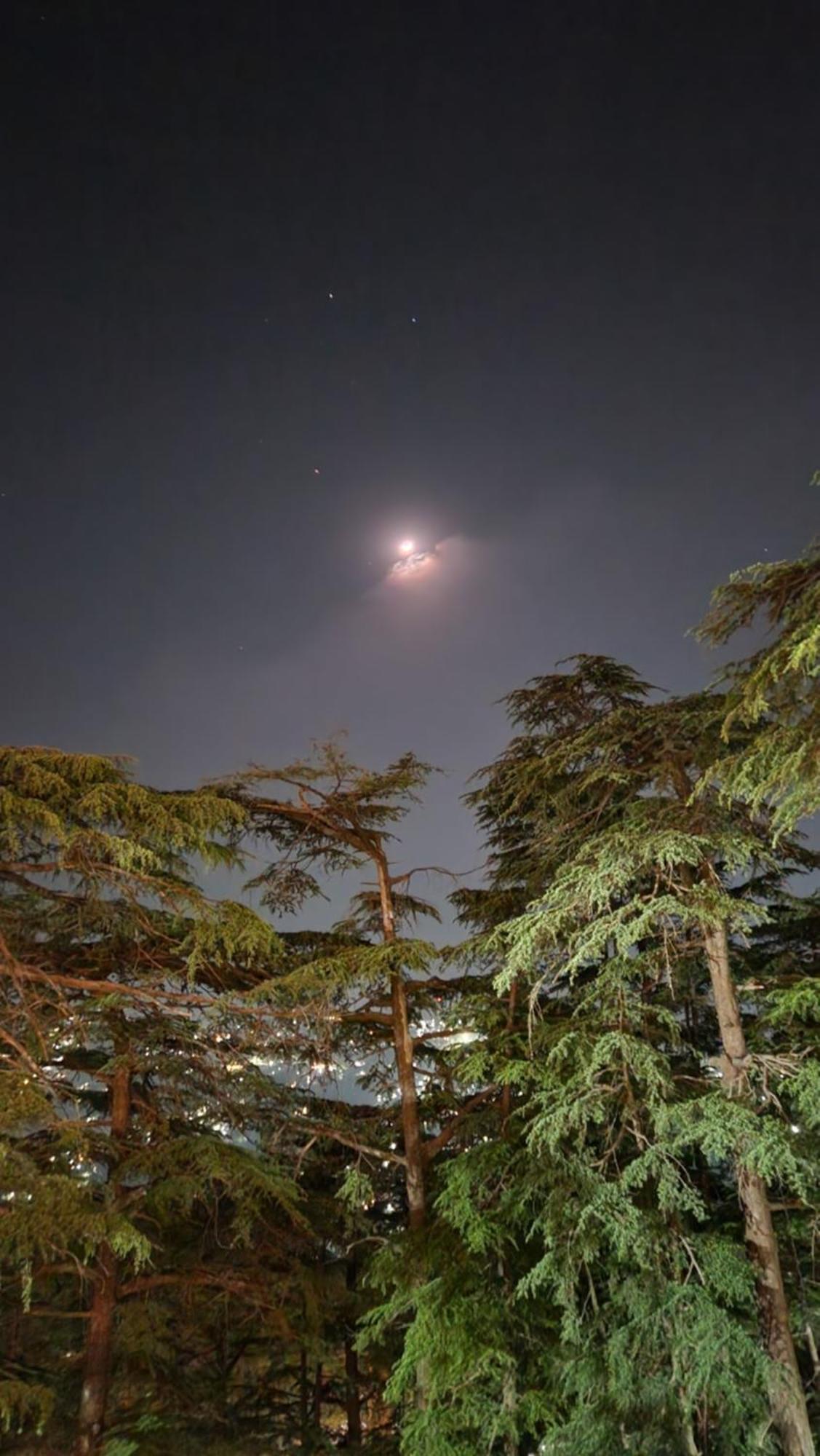 Glen View Heritage Homestay Shimla Exterior foto
